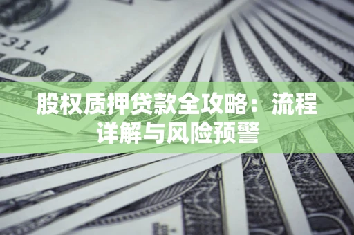 武汉股权质押贷款全攻略：流程详解与风险预警