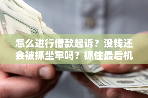 武汉怎么进行借款起诉？没钱还会被抓坐牢吗？抓住最后机会！