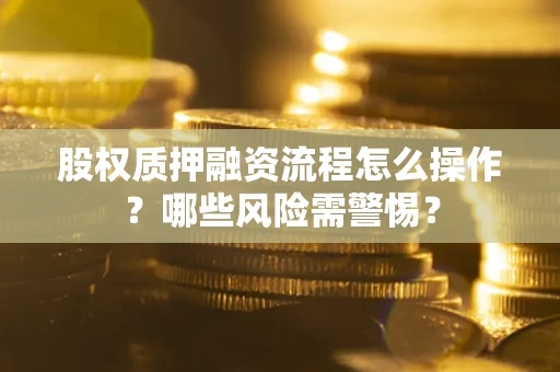 武汉股权质押融资流程怎么操作？哪些风险需警惕？