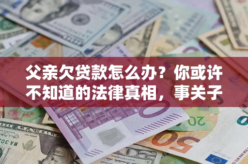 武汉父亲欠贷款怎么办？你或许不知道的法律真相，事关子女未来