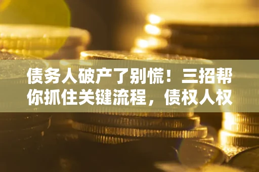 武汉债务人破产了别慌！三招帮你抓住关键流程，债权人权益不再缩水