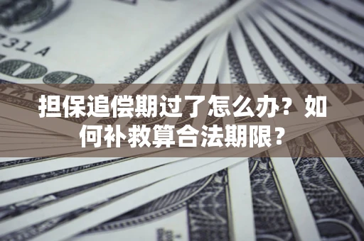 武汉担保追偿期过了怎么办？如何补救算合法期限？