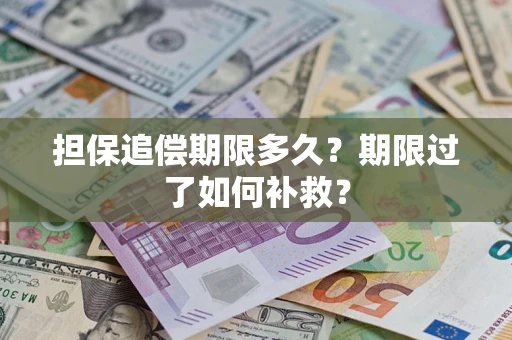 武汉担保追偿期限多久？期限过了如何补救？