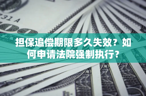 武汉担保追偿期限多久失效？如何申请法院强制执行？