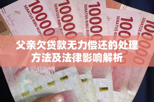 武汉父亲欠贷款无力偿还的处理方法及法律影响解析