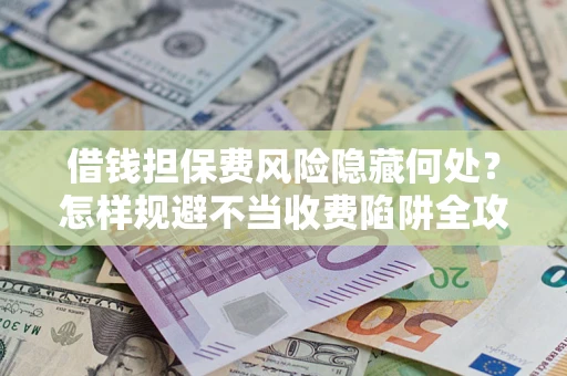 武汉借钱担保费风险隐藏何处？怎样规避不当收费陷阱全攻略！